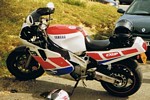 FZR & R1